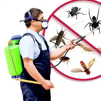 pest control Pinconning